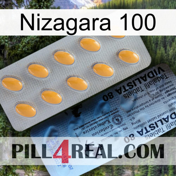 Nizagara 100 44.jpg